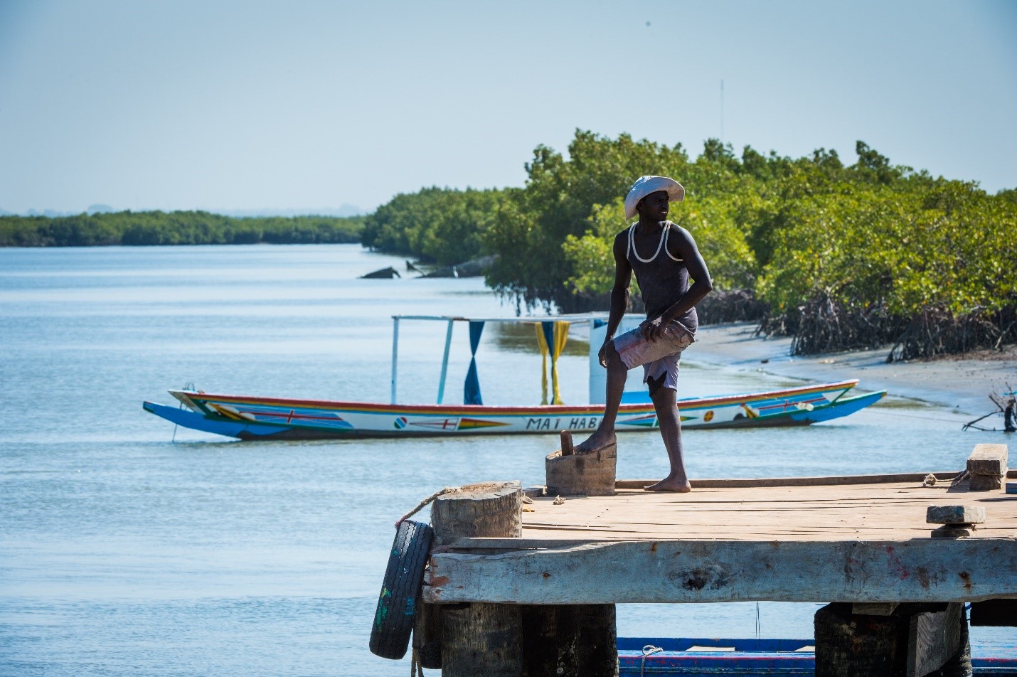 How to Catch a Mullet Fish - WorthvieW