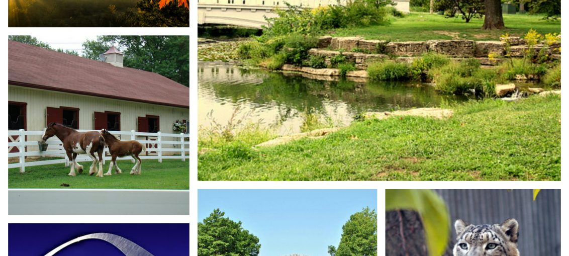 6 Best Outdoor Activities in St. Louis WorthvieW