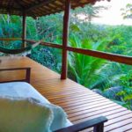 3 Reasons To Go for An Ayahuasca Retreat