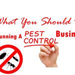 Running a Pest Control Business – What You Should Do