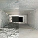 Have Your Home Inspected To Know About Mold Existence And Few Scientific Facts