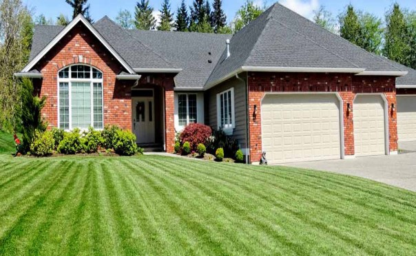 Why Should Lawn Maintenance Works Always Be Handled By Thorough Experts?