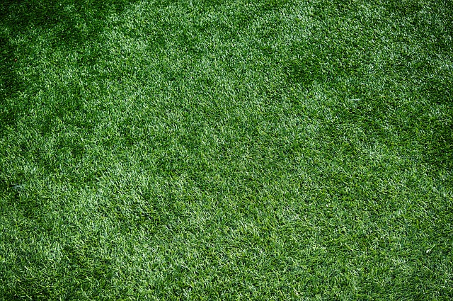 Why You Need Professionals To Install Artificial Turf?