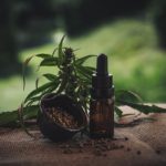 Factors Affecting Price of CBD Oil