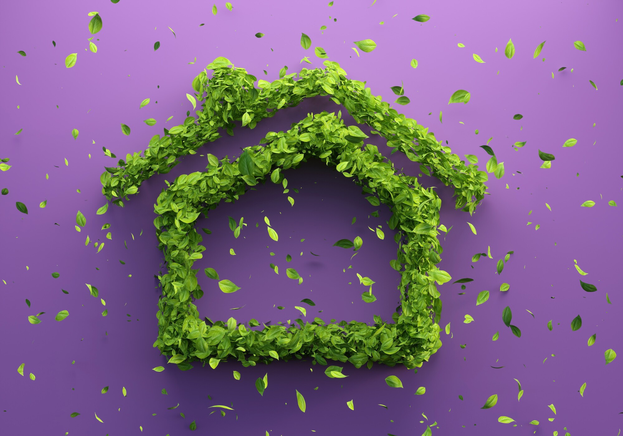 5 Steps to a More Sustainable Home