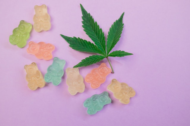 Where To Buy Edibles In Canada?