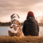 Improve Your Mental Health by Owning a Pet