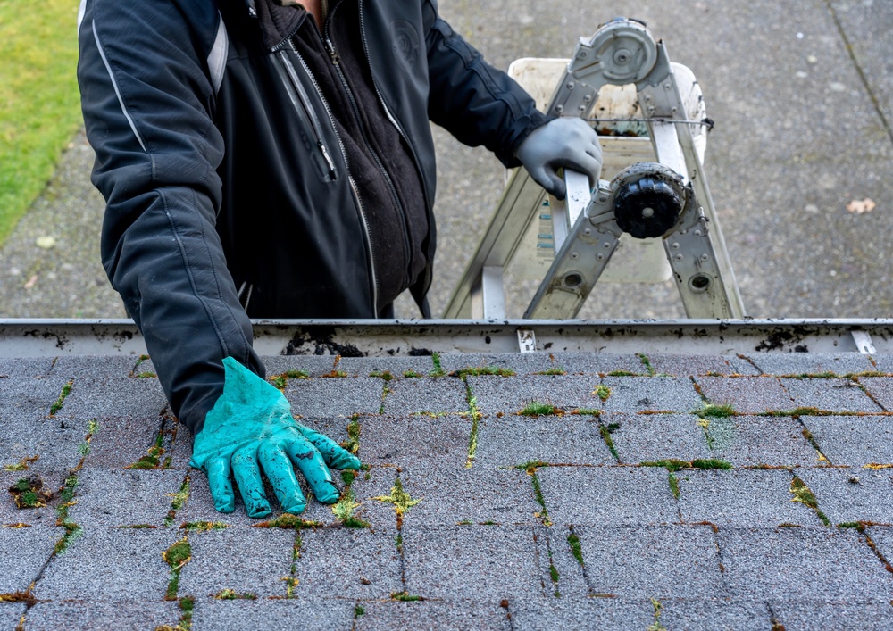 The Ultimate Guide To Weatherproofing Your Home For Any Season