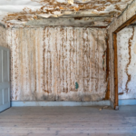 Unseen Consequences: Unpacking The Hidden Dangers Of Water Damage