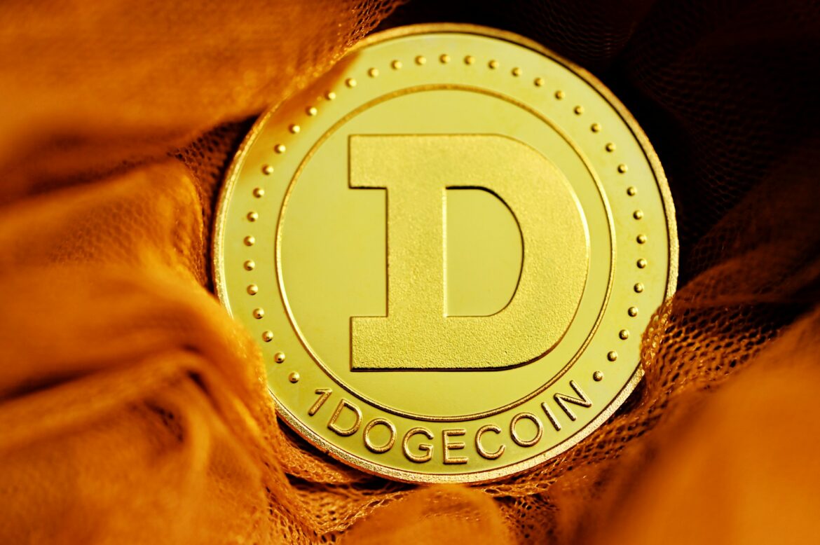 Navigating Dogecoin Investment: Fundamentals vs. Technical Analysis