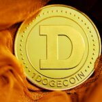 Navigating Dogecoin Investment: Fundamentals vs. Technical Analysis