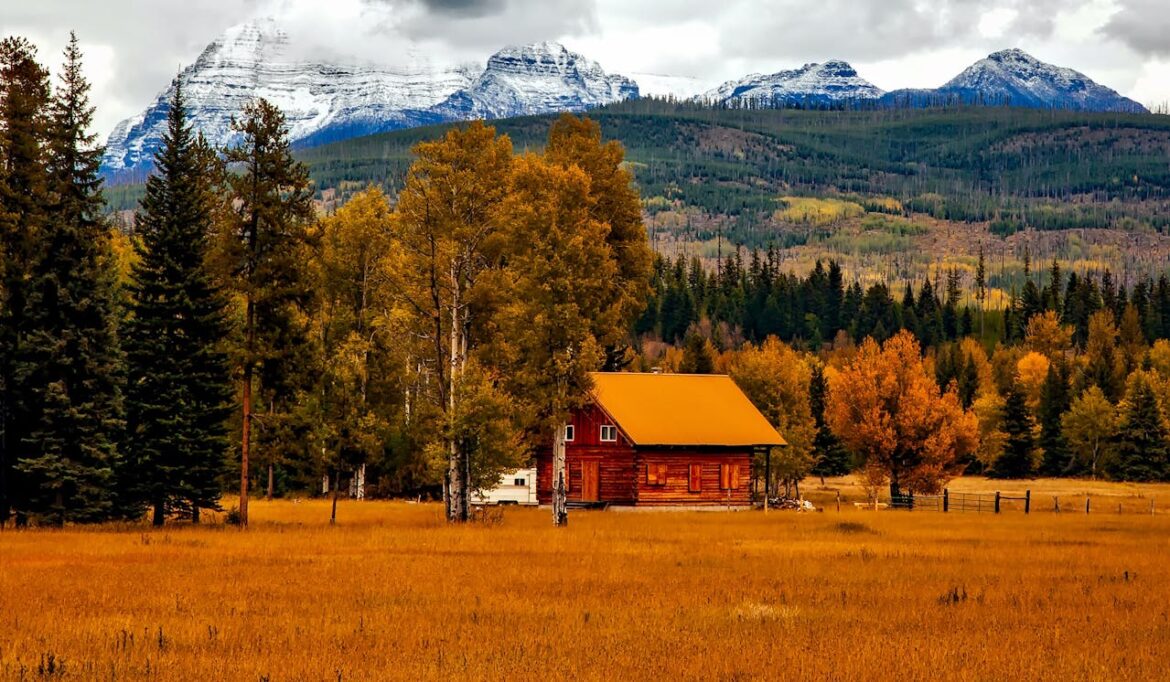 Revolution on the Range: Stefan Soloviev Plans to Redefine Farming in Colorado