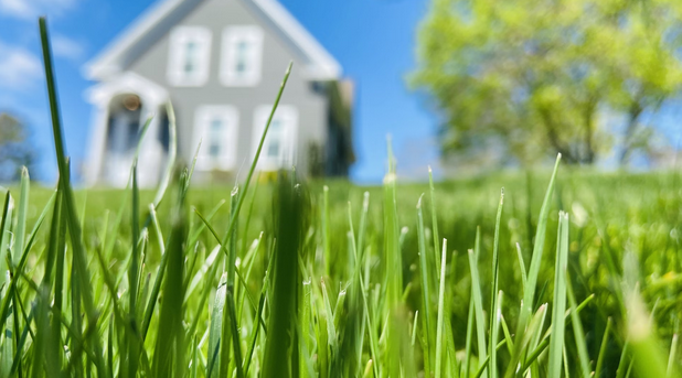 Secrets to a Lush Lawn: Uncommon Tips for Exceptional Results