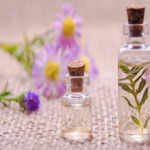 The Beginner’s Guide to Essential Oils: Everything You Need to Know