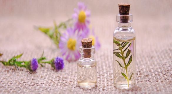 The Beginner’s Guide to Essential Oils: Everything You Need to Know