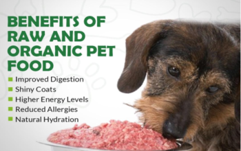 Raw Diet for Dogs