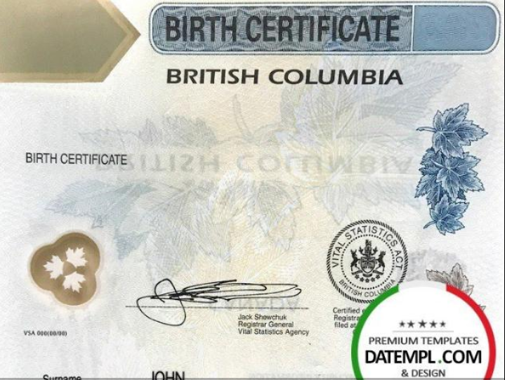 Understanding the Utility of Birth Certificate Design Templates