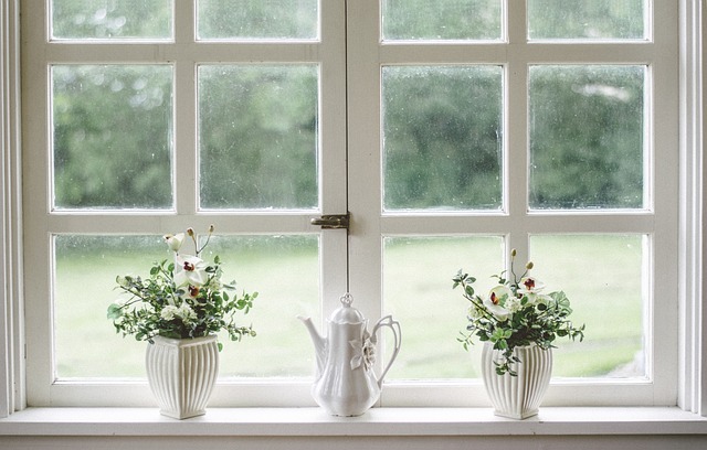 Choosing Between Wood and Vinyl Framed Windows for Your Home: A Comparison Guide