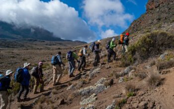 Kilimanjaro Hiking