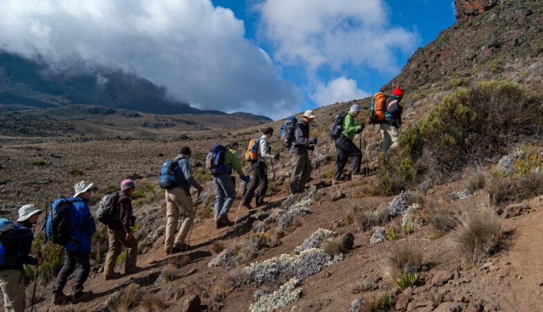 Kilimanjaro Hiking