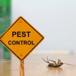 Pest Control provider