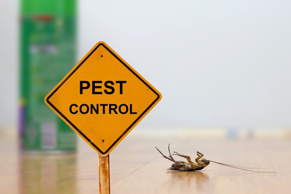 How to Choose the Right Emergency Pest Control Provider