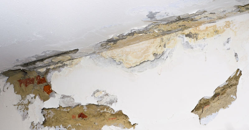 Is Water Damage Permanent? Know the Signs