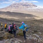 Conquering Kilimanjaro A Beginner’s Guide to Hiking Africa’s Highest Peak