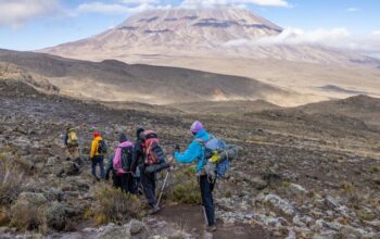 Kilimanjaro