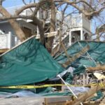 Emergency Storm Damage Cleanup: What to Expect