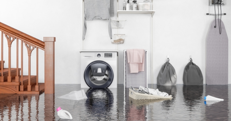 Emergency Flood Repair: How to Act Fast and Restore Your Property