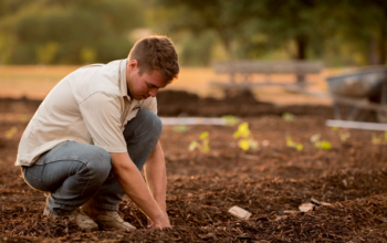 Guide to Sustainable Gardening with Coir Blocks