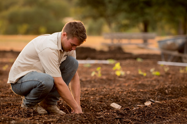 The Essential Guide to Sustainable Gardening with Coir Blocks