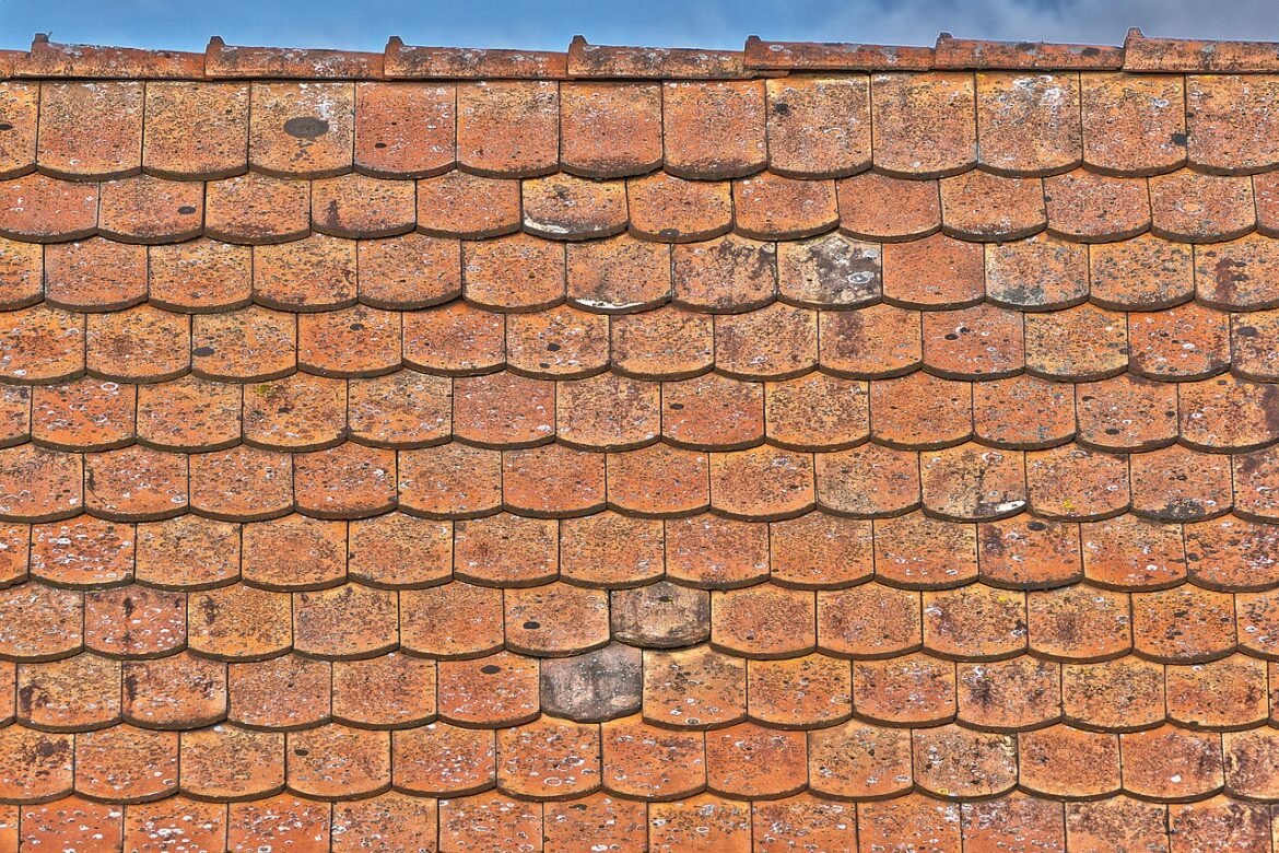 DIY vs. Professional Repair: What to Do About Missing Shingles