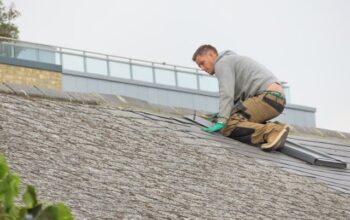 Roof Maintenance